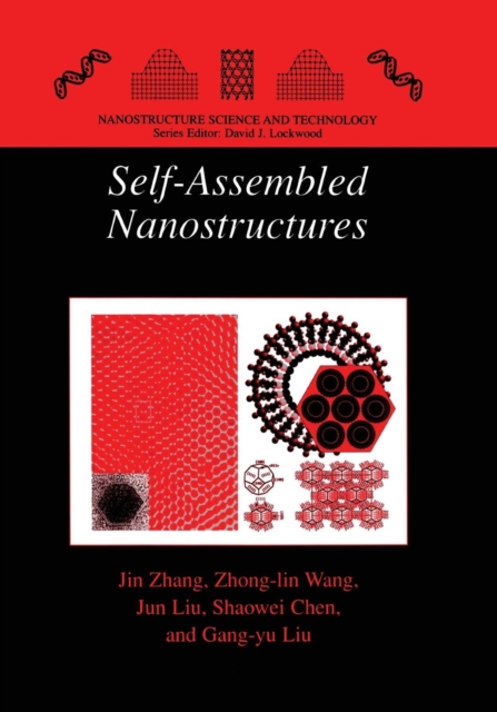 Self-Assembled Nanostructures, Paperback / softback Book