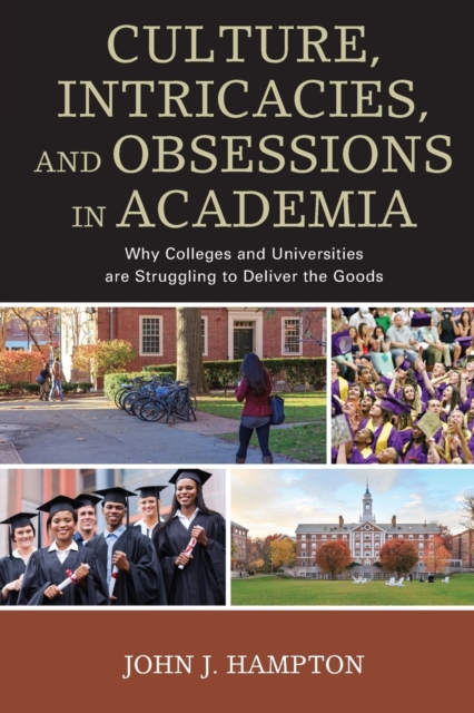Culture, Intricacies, and Obsessions in Academia : Why Colleges and Universities are Struggling to Deliver the Goods, Paperback / softback Book