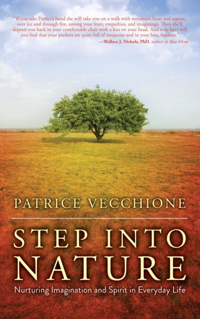 Step into Nature : Nurturing Imagination and Spirit in Everyday Life, EPUB eBook