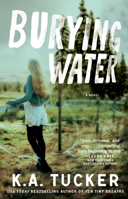 Burying Water : A Novel, Paperback / softback Book