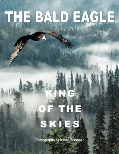 The Bald Eagle : King of the Skies, Paperback / softback Book