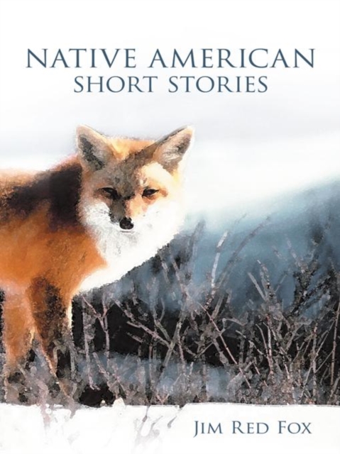 Native American Short Stories, EPUB eBook