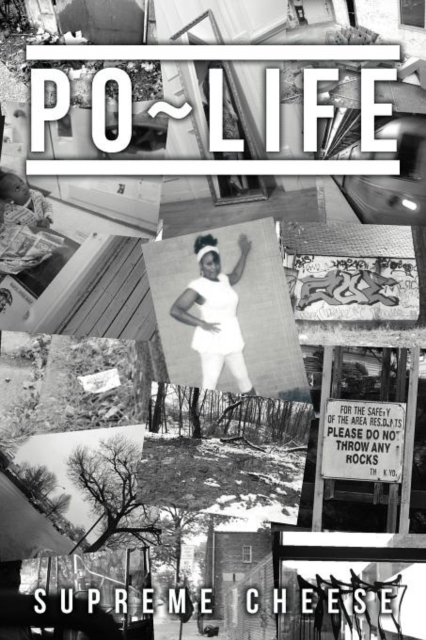 Po Life, Paperback / softback Book