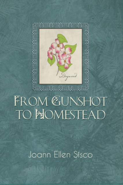 From Gunshot to Homestead, EPUB eBook