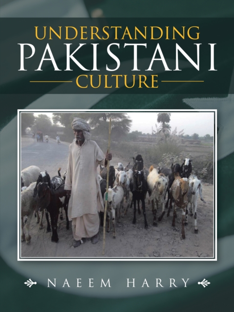 Understanding Pakistani Culture, EPUB eBook