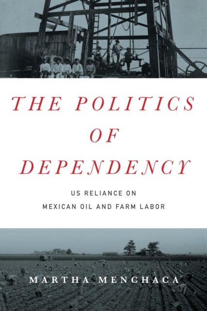 The Politics of Dependency : US Reliance on Mexican Oil and Farm Labor, Hardback Book