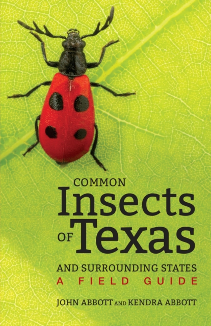 Common Insects of Texas and Surrounding States : A Field Guide, Paperback / softback Book