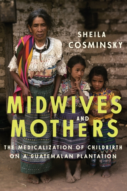 Midwives and Mothers : The Medicalization of Childbirth on a Guatemalan Plantation, Hardback Book