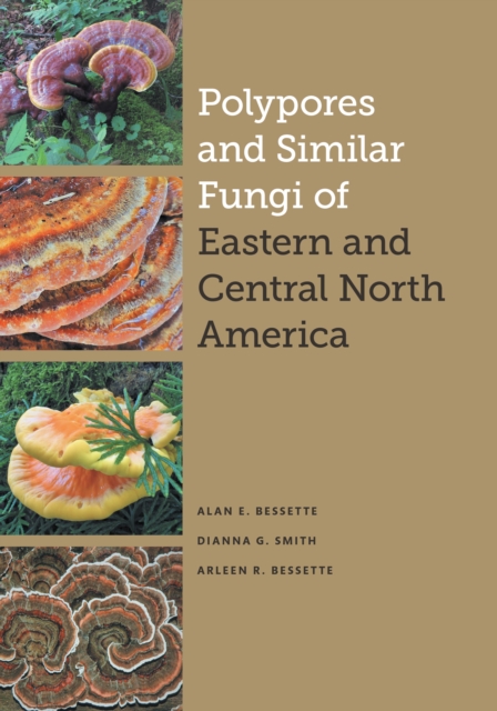 Polypores and Similar Fungi of Eastern and Central North America, Hardback Book