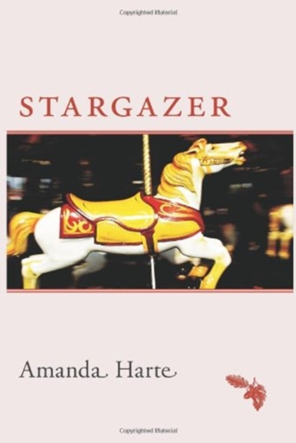 Stargazer, Paperback / softback Book