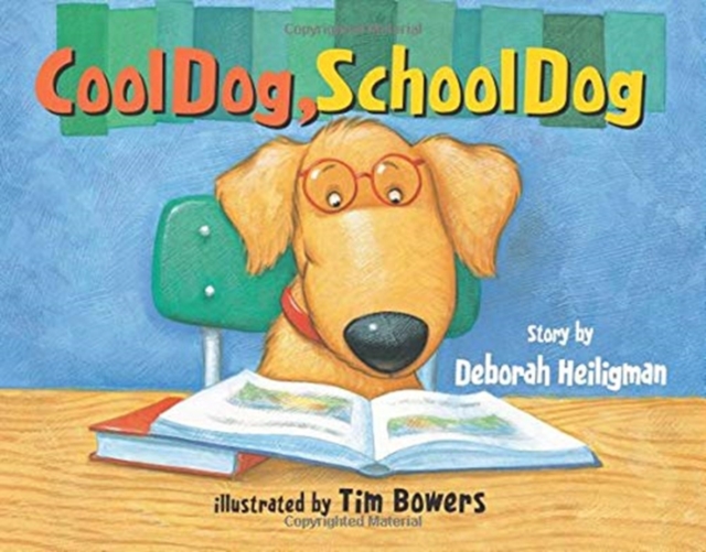 COOL DOG SCHOOL DOG, Paperback Book