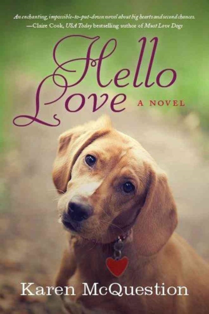 Hello Love, Paperback / softback Book