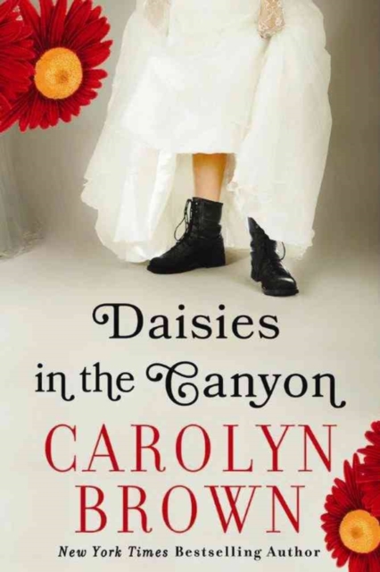 Daisies in the Canyon, Paperback / softback Book