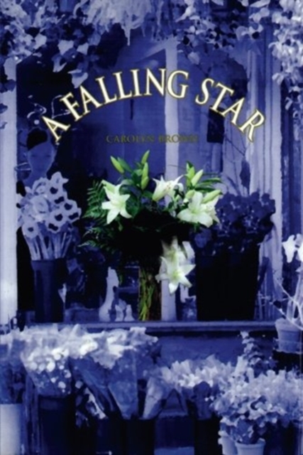 A Falling Star, Paperback / softback Book