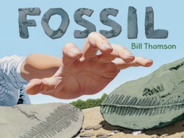 FOSSIL, Hardback Book