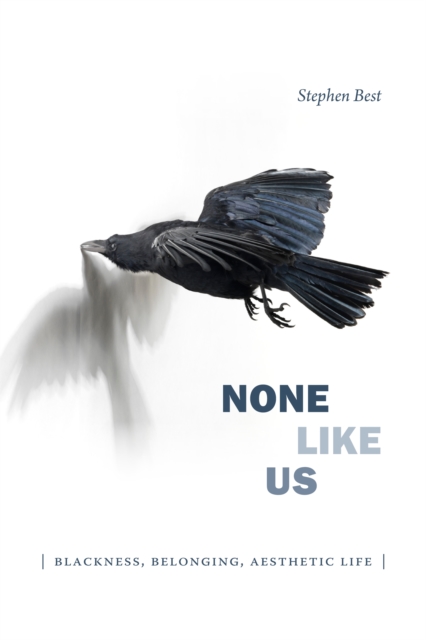 None Like Us : Blackness, Belonging, Aesthetic Life, PDF eBook