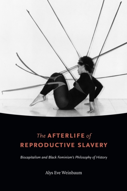 The Afterlife of Reproductive Slavery : Biocapitalism and Black Feminism's Philosophy of History, Paperback / softback Book