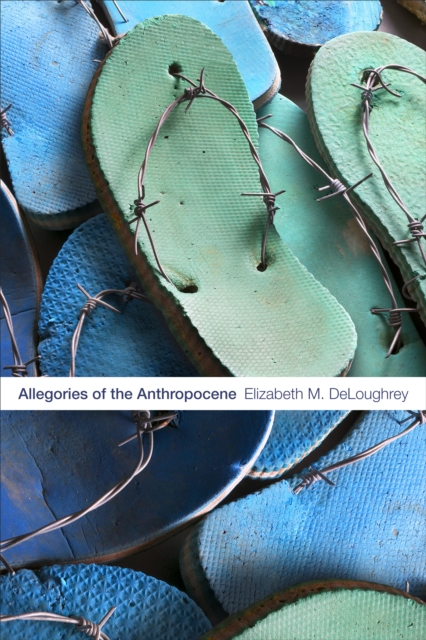 Allegories of the Anthropocene, Hardback Book