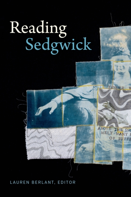 Reading Sedgwick, Hardback Book