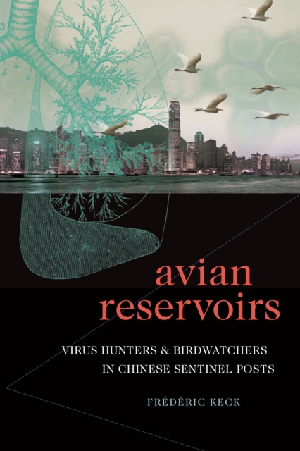 Avian Reservoirs : Virus Hunters and Birdwatchers in Chinese Sentinel Posts, Hardback Book