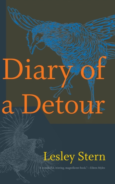 Diary of a Detour, Hardback Book