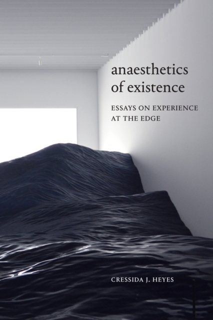 Anaesthetics of Existence : Essays on Experience at the Edge, PDF eBook