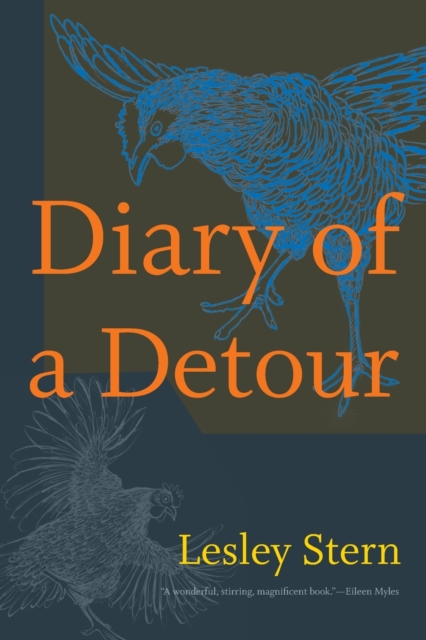 Diary of a Detour, Paperback / softback Book