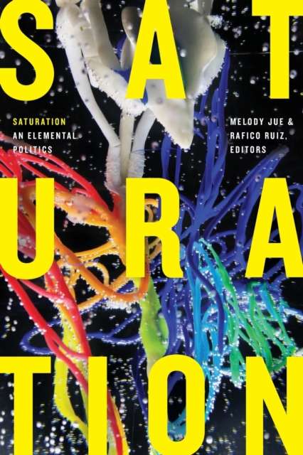 Saturation : An Elemental Politics, Paperback / softback Book