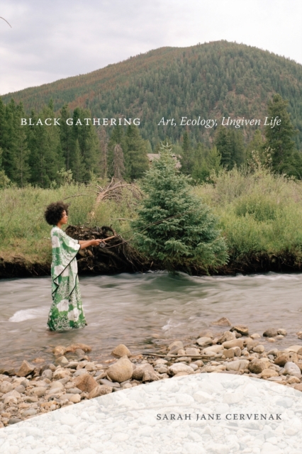 Black Gathering : Art, Ecology, Ungiven Life, Paperback / softback Book