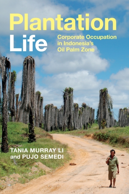 Plantation Life : Corporate Occupation in Indonesia's Oil Palm Zone, Paperback / softback Book