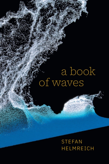 A Book of Waves, Paperback / softback Book
