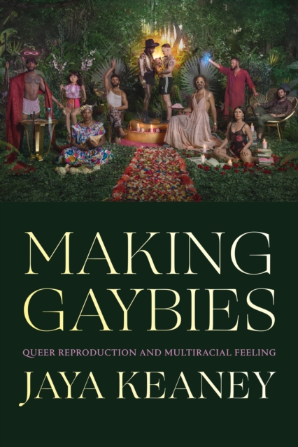 Making Gaybies : Queer Reproduction and Multiracial Feeling, Hardback Book