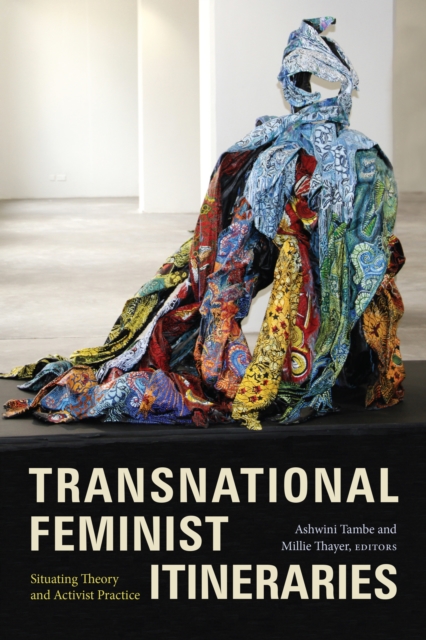 Transnational Feminist Itineraries : Situating Theory and Activist Practice, PDF eBook