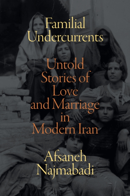 Familial Undercurrents : Untold Stories of Love and Marriage in Modern Iran, PDF eBook
