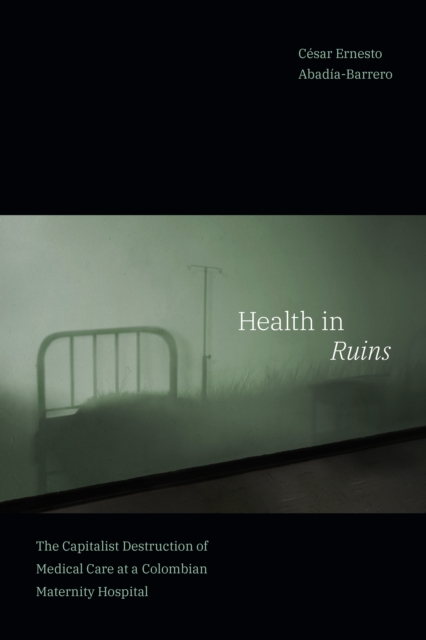 Health in Ruins : The Capitalist Destruction of Medical Care at a Colombian Maternity Hospital, PDF eBook