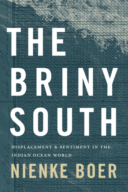 The Briny South : Displacement and Sentiment in the Indian Ocean World, PDF eBook