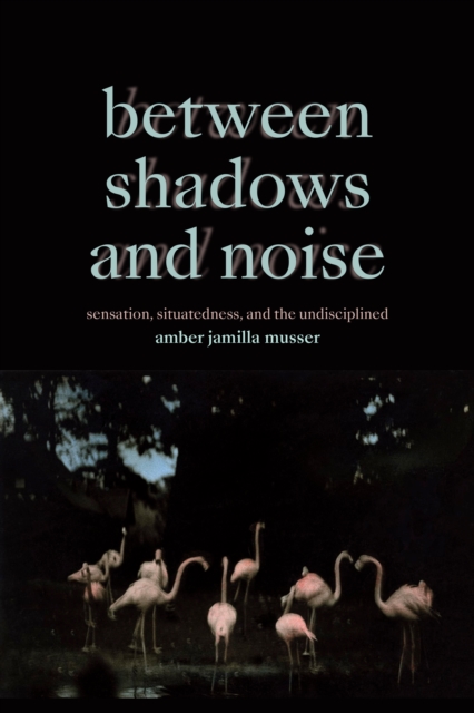 Between Shadows and Noise : Sensation, Situatedness, and the Undisciplined, Hardback Book