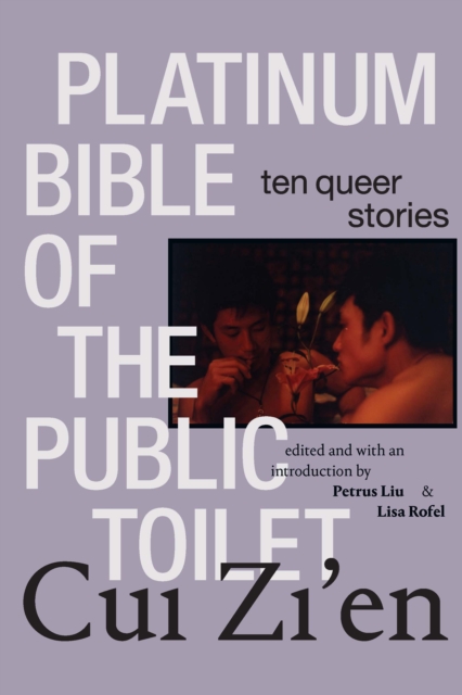 Platinum Bible of the Public Toilet : Ten Queer Stories, PDF eBook