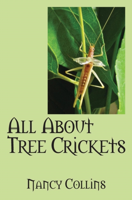 All about Tree Crickets, Hardback Book