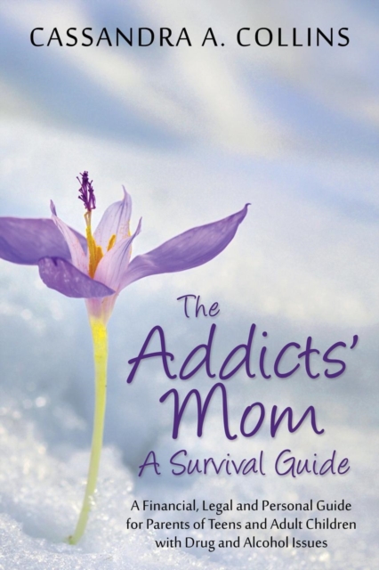 The Addicts' Mom : A Survival Guide: A Financial, Legal and Personal Guide for Parents of Teens and Adult Children with Drug and Alcohol, Paperback / softback Book