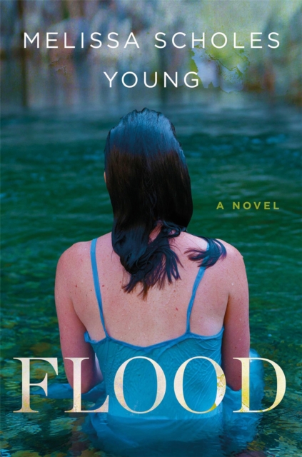 Flood : A Novel, Hardback Book