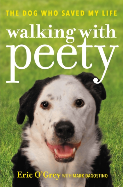 Walking with Peety : The Dog Who Saved My Life, Paperback / softback Book