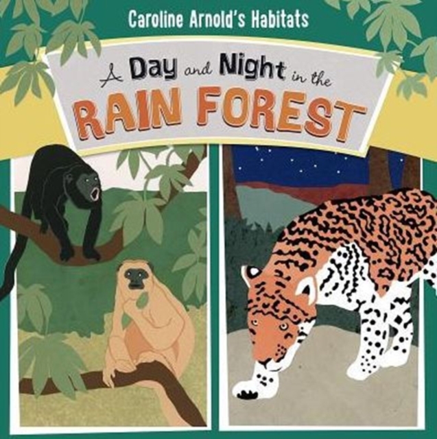 A Day and Night in the Rain Forest, Paperback / softback Book