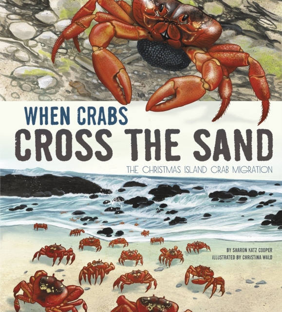 When Crabs Cross the Sand: The Christmas Island Crab Migration, Hardback Book