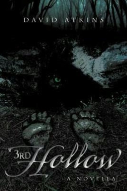 3rd Hollow, Paperback / softback Book