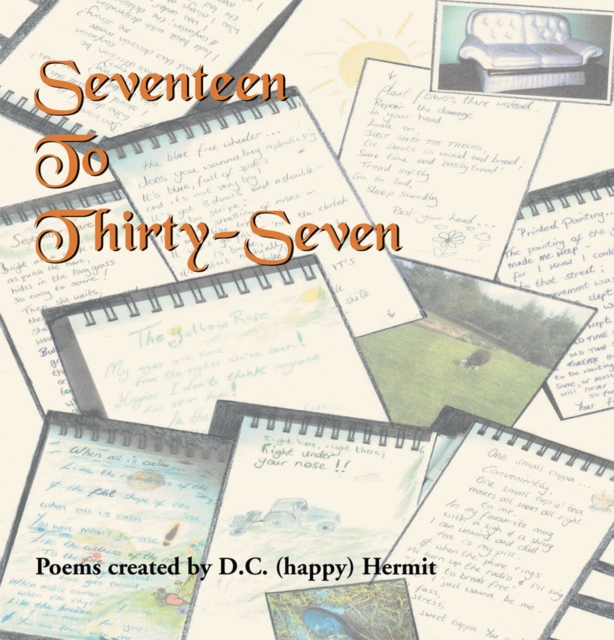 Seventeen to Thirty-Seven, EPUB eBook