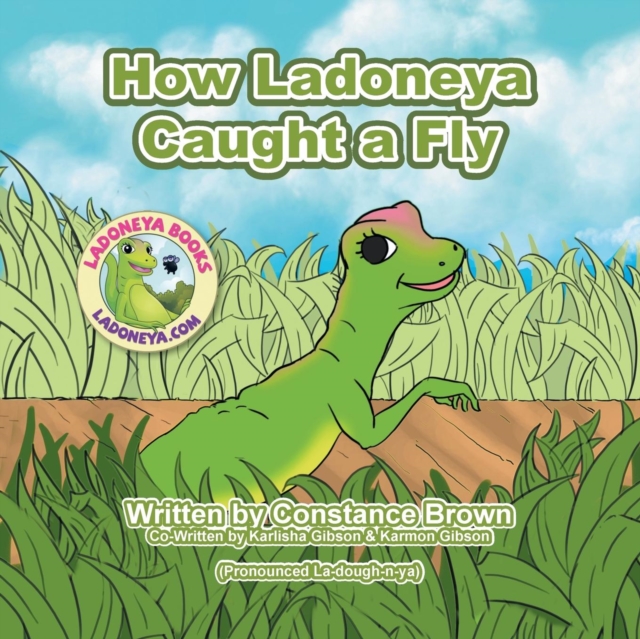 How Ladoneya Caught a Fly, Paperback / softback Book