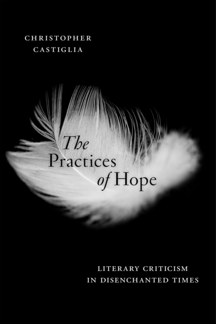 The Practices of Hope : Literary Criticism in Disenchanted Times, Paperback / softback Book