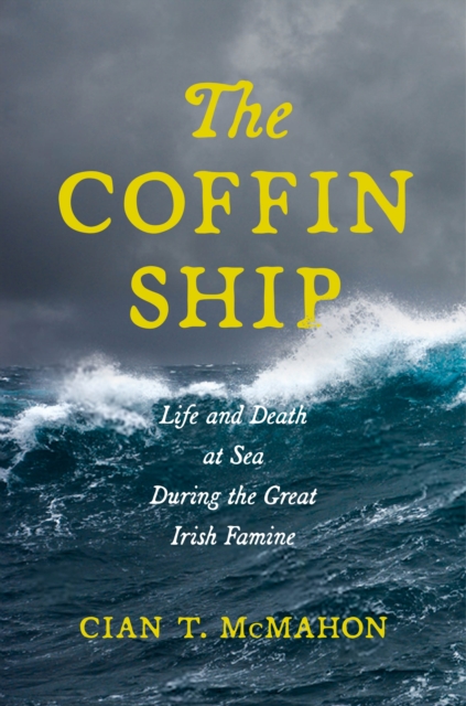 The Coffin Ship : Life and Death at Sea during the Great Irish Famine, Hardback Book