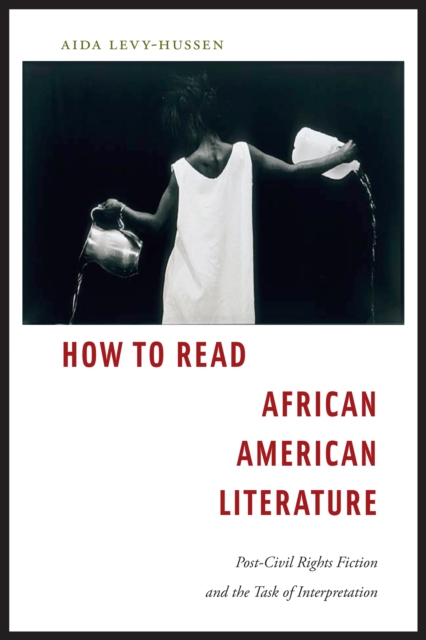How to Read African American Literature : Post-Civil Rights Fiction and the Task of Interpretation, EPUB eBook